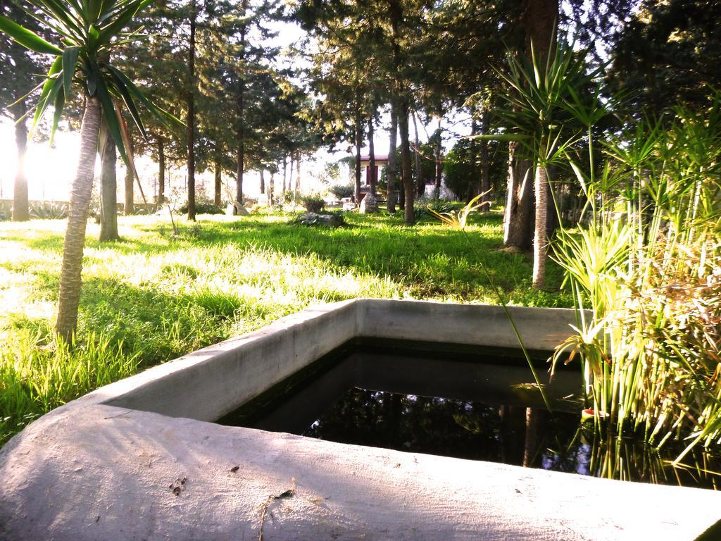 Villa Parco Alta Murgia Cassano delle Murge Luaran gambar